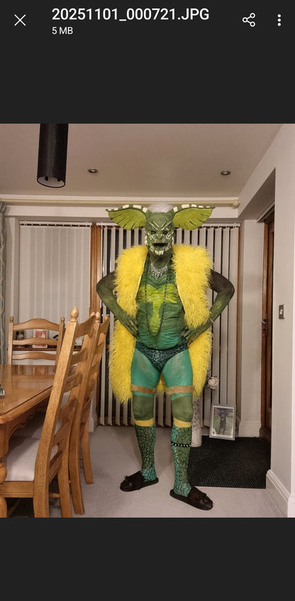 LARGE EARS BALD CAP  PULLOVER