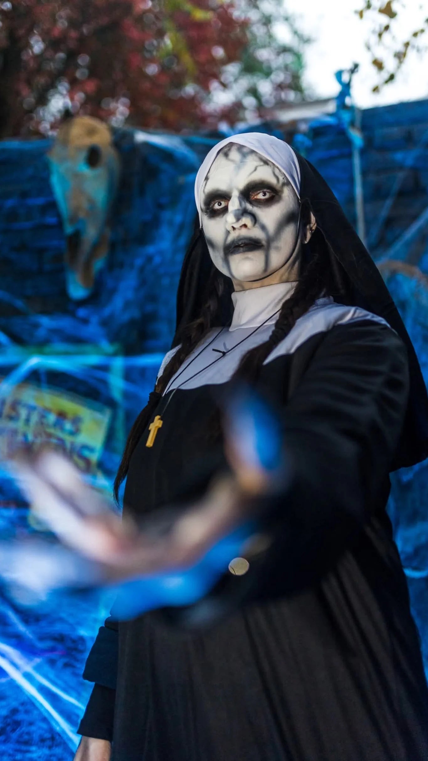 CROOKED NUN NOSE AND BROW