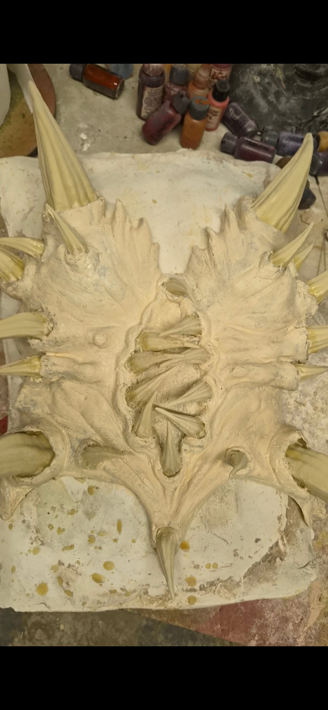 BONE WIDOW BODICE