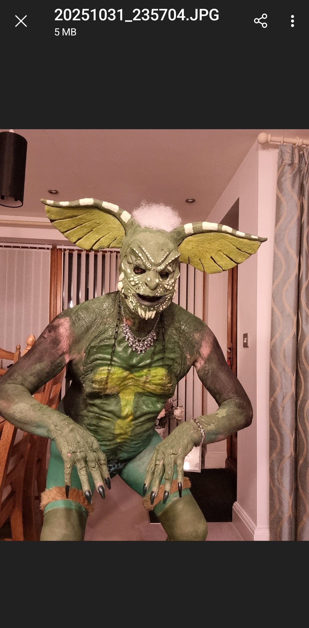 LARGE EARS BALD CAP  PULLOVER