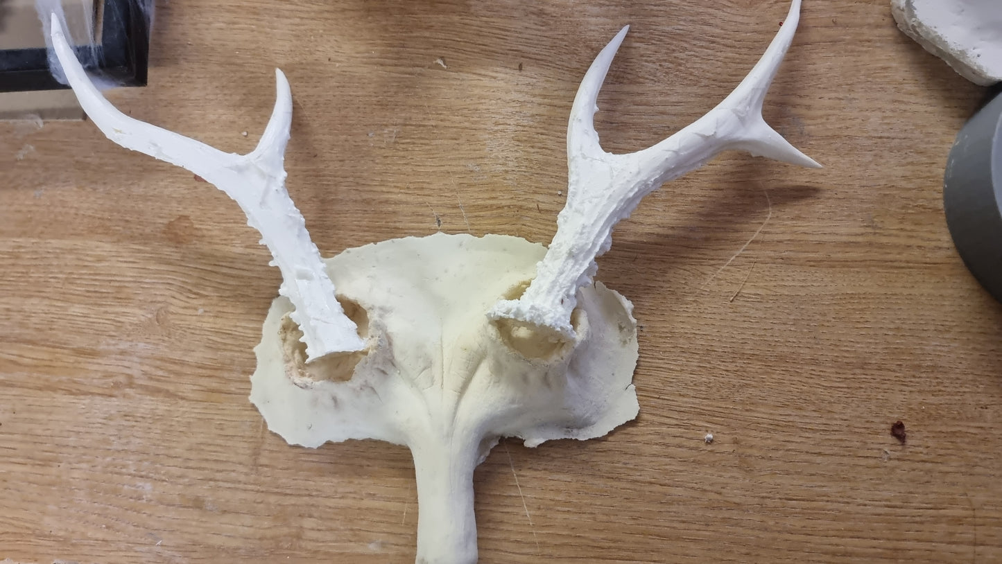 ANTLERS