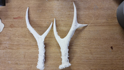 ANTLERS