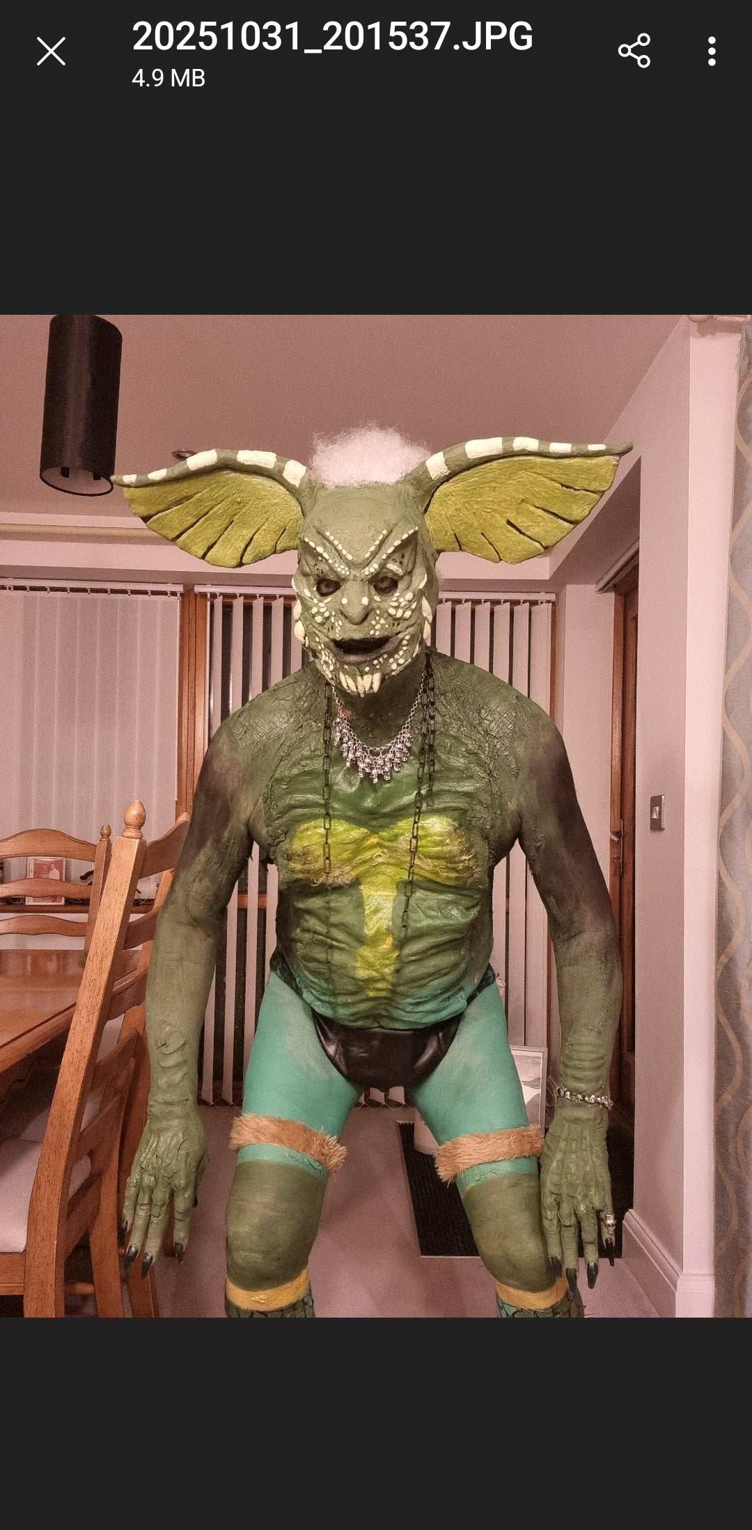 LARGE EARS BALD CAP  PULLOVER