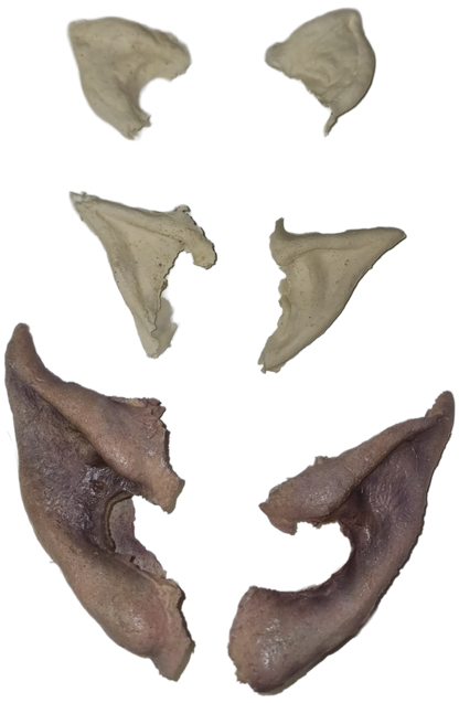 POINTY EARS