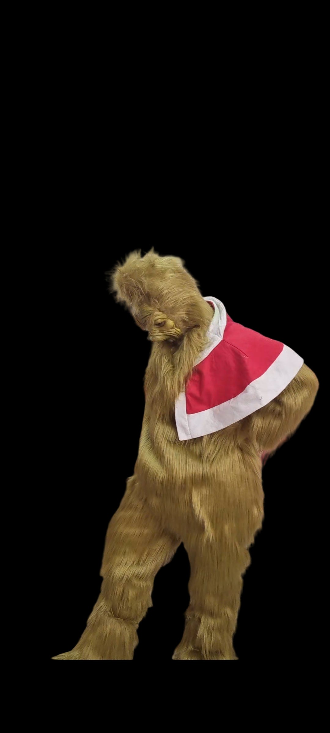 Grinch realistic faux fur green costume 