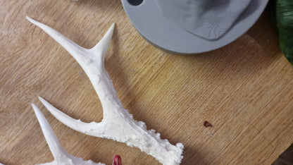 ANTLERS