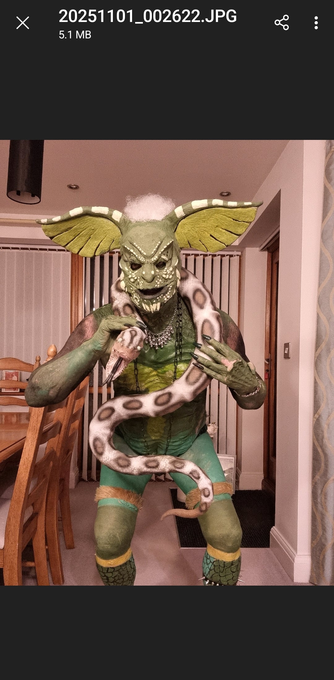 LARGE EARS BALD CAP  PULLOVER