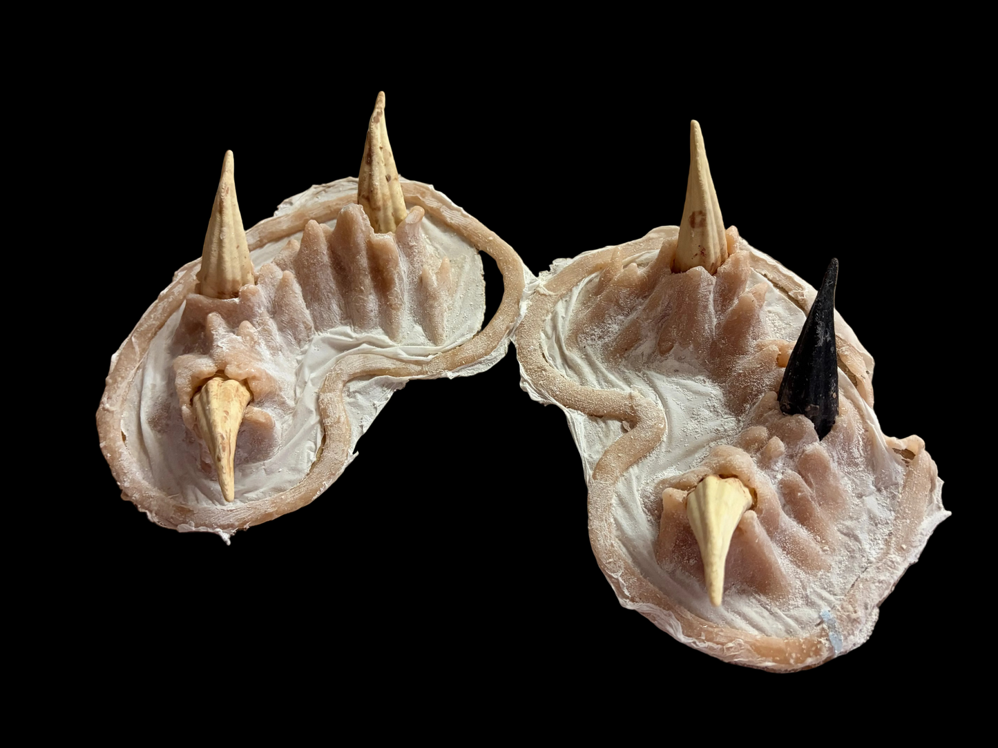tooth fairy cheek prosthetics 