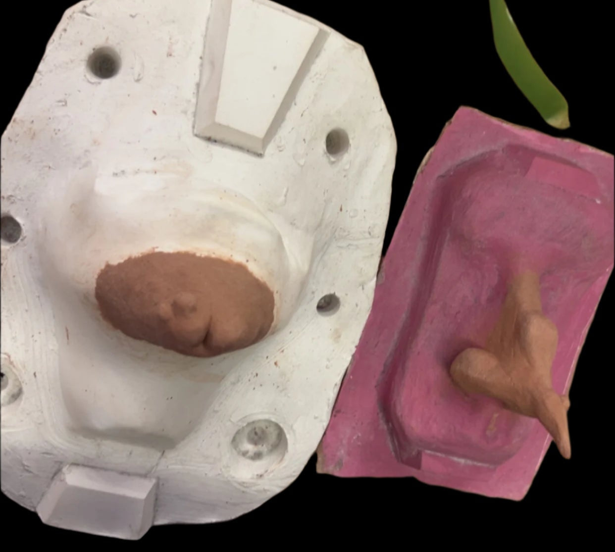witch nose and chin with warts 
